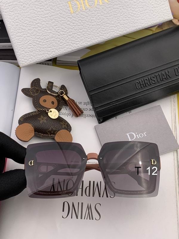 DIOR Sunglasses 385